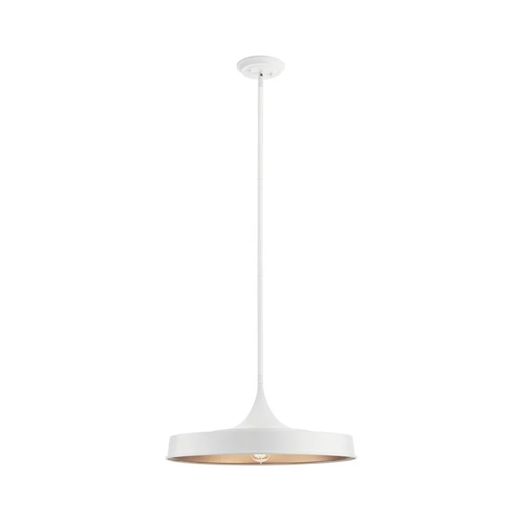 Elias Single-Light Convertible Pendant/Semi-Flush Mount Ceiling Fixture - Frankwebs