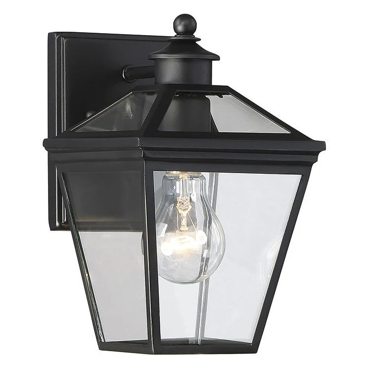 Ellijay Single-Light Outdoor Wall Mount Lantern - Frankwebs