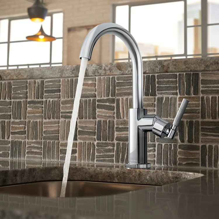 Litze Single Handle Bar Faucet with High-Arc Spout/Knurled Handle - Frankwebs