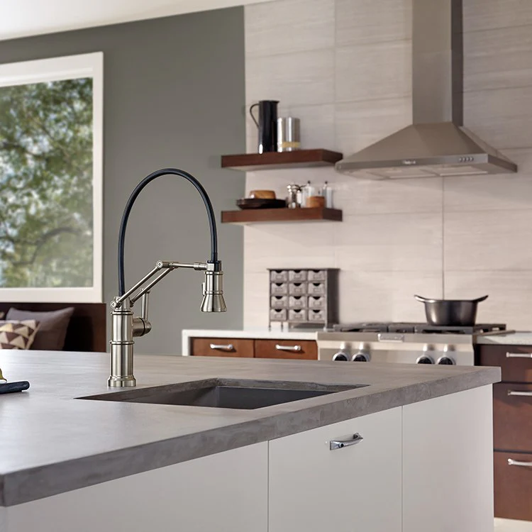 Artesso Single Handle Kitchen Faucet with Articulating Arm - Frankwebs