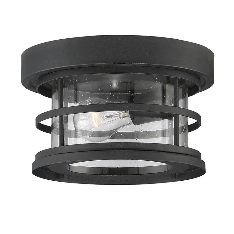 Barrett Single-Light Outdoor Flush Mount Ceiling Light - Frankwebs