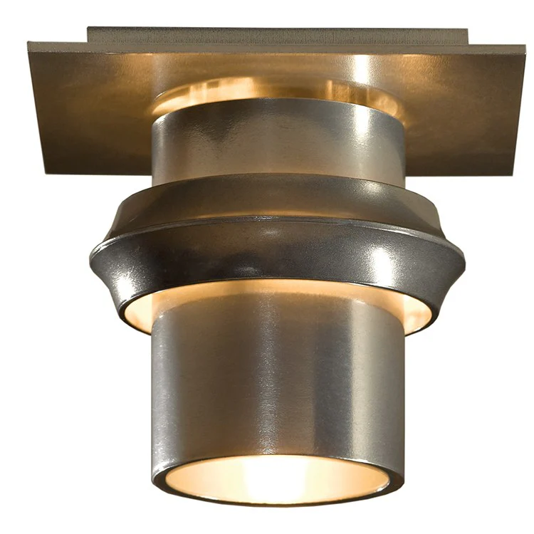 Twilight Single-Light Flush Mount Ceiling Lighting Fixture - Frankwebs