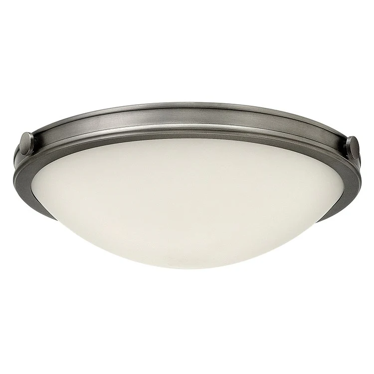 Maxwell Single-Light LED Flush Mount Ceiling Light - Frankwebs