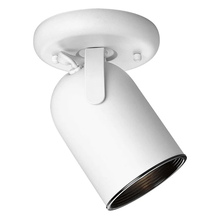 Directional Single-Light Round Back Wall/Ceiling Light - Frankwebs