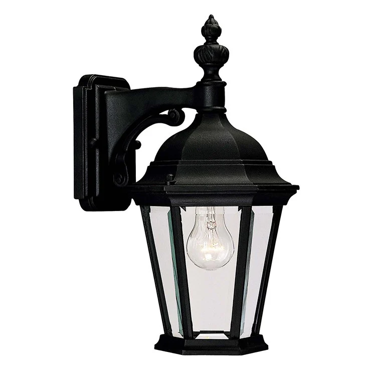 Wakefield Single-Light Outdoor Wall Mount Lantern - Frankwebs