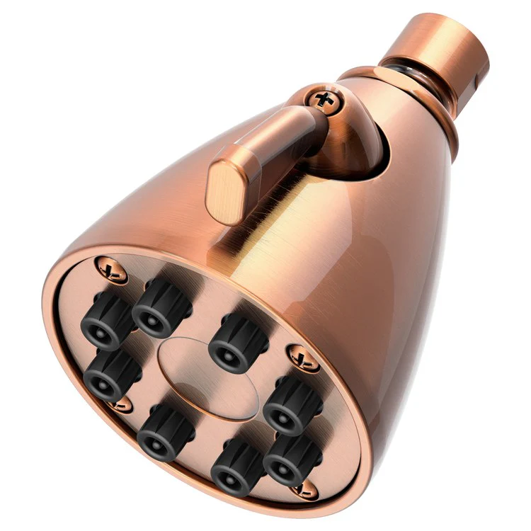 Single-Function Eight-Jet Showerhead - Aged Brass - Frankwebs