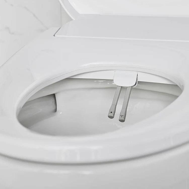 Aquawash 2.0 Manual SpaLet Bidet Seat - Frankwebs