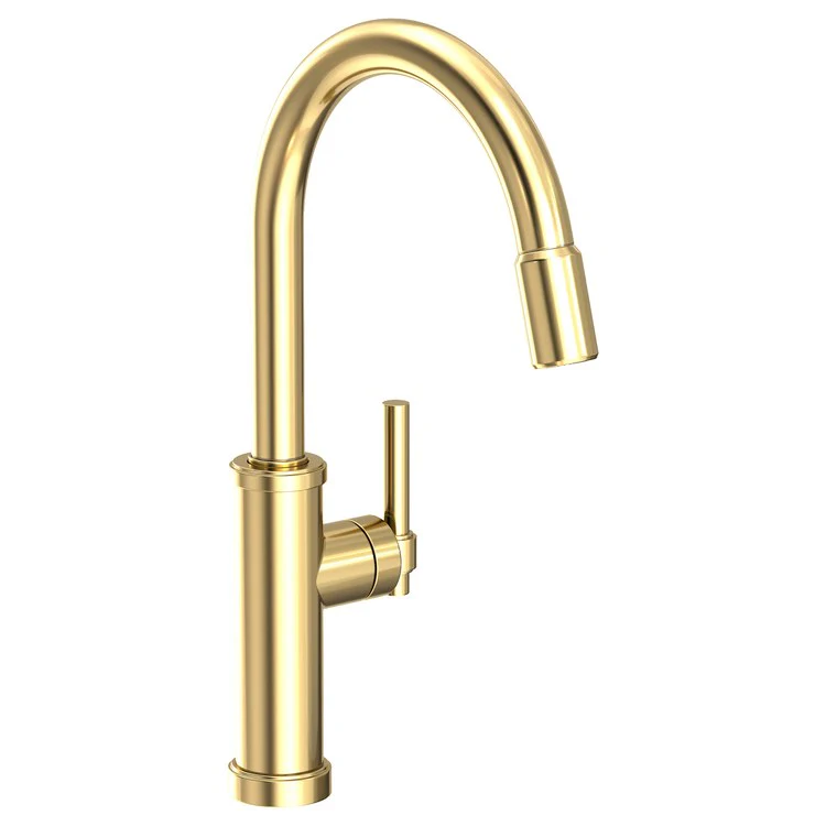 Kitchen Faucet Seager 1 Lever ADA Polished Brass Uncoated Living Pull Down Spout Height 10-4/5 Inch 1.8 Gallons per Minute - Frankwebs