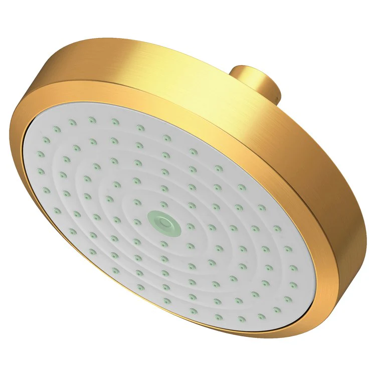 Showerhead Newport Bath 1 Function French Gold PVD 5-15/16 Inch 1.8 Gallons per Minute Rubber NZL - Frankwebs