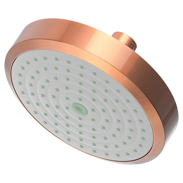 Showerhead Newport Bath 1 Function French Gold PVD 5-15/16 Inch 1.8 Gallons per Minute Rubber NZL - Frankwebs