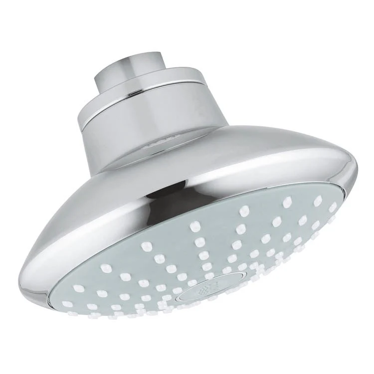 Euphoria 110 Mono Single-Function Showerhead - Frankwebs