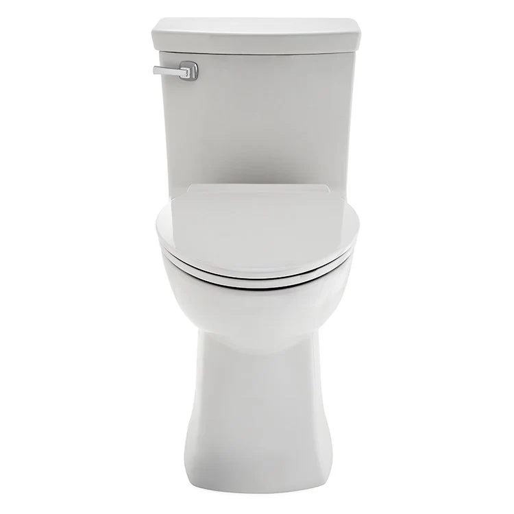 Townsend Vormax One-Piece Right Height High-Efficiency Elongated Toilet with Seat - Frankwebs