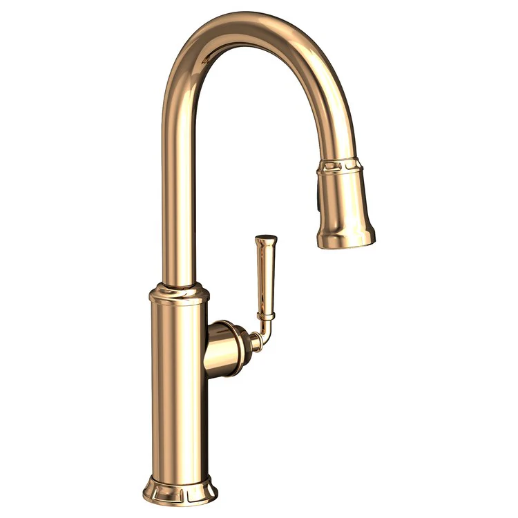 Kitchen Faucet Gavin 1 Lever ADA Polished Gold PVD Pull Down Spout Height 10-3/8 Inch 1.8 Gallons per Minute - Frankwebs