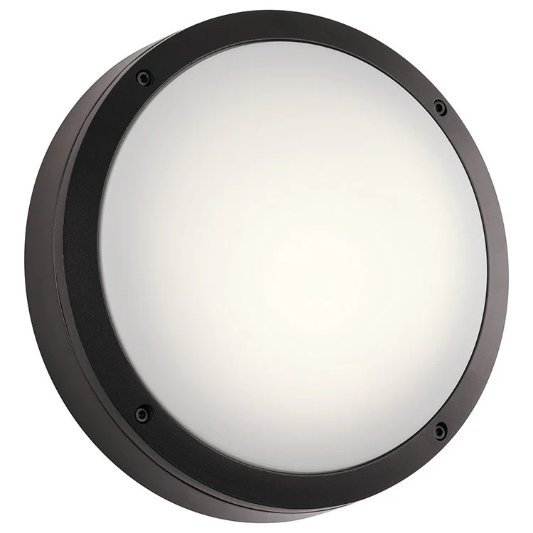 Single-Light LED Round Outdoor Wall/Ceiling Lighting Fixture - Frankwebs