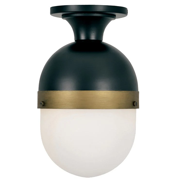 Capsule Single-Light Outdoor Flush Mount Ceiling Fixture - Frankwebs