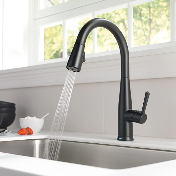 Essa Single Handle Pull Down Kitchen Faucet with Touch2O Technology - Frankwebs