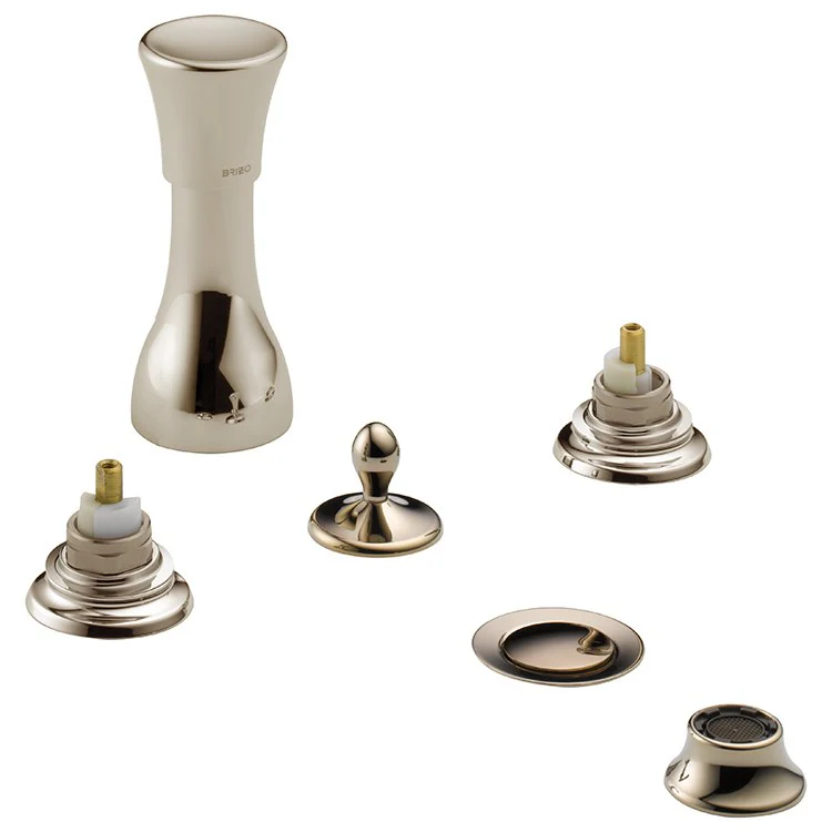 Charlotte Two Handle Bidet Faucet without Handles - Frankwebs