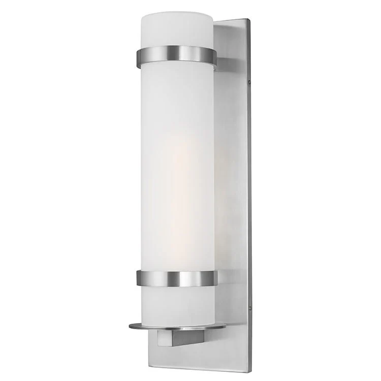 Alban Single-Light Large Outdoor Wall Lantern - Frankwebs