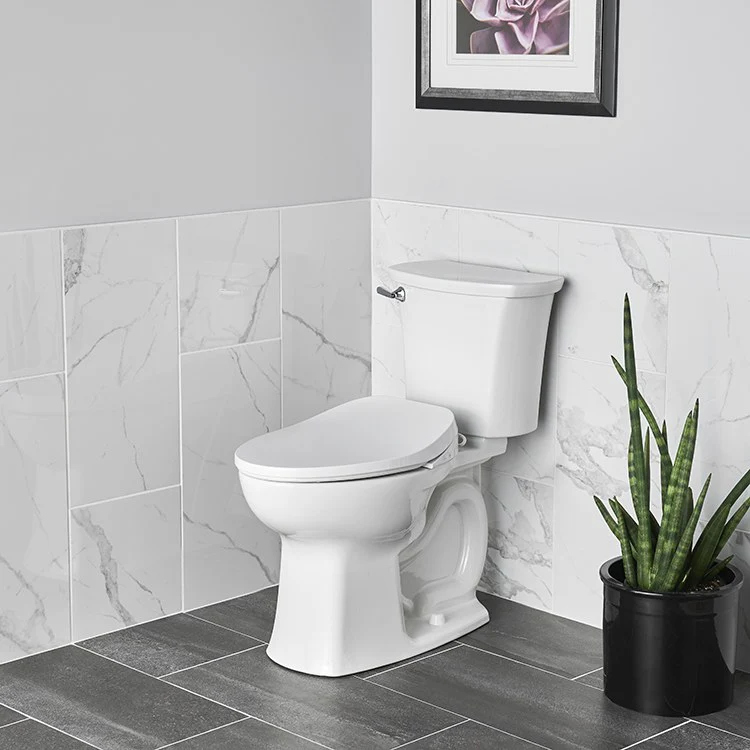 Aquawash 2.0 Manual SpaLet Bidet Seat - Frankwebs