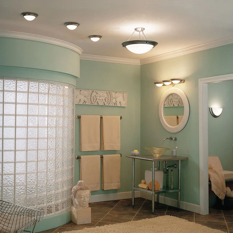 Eclipse Two-Light Flush Mount Ceiling Light - Frankwebs