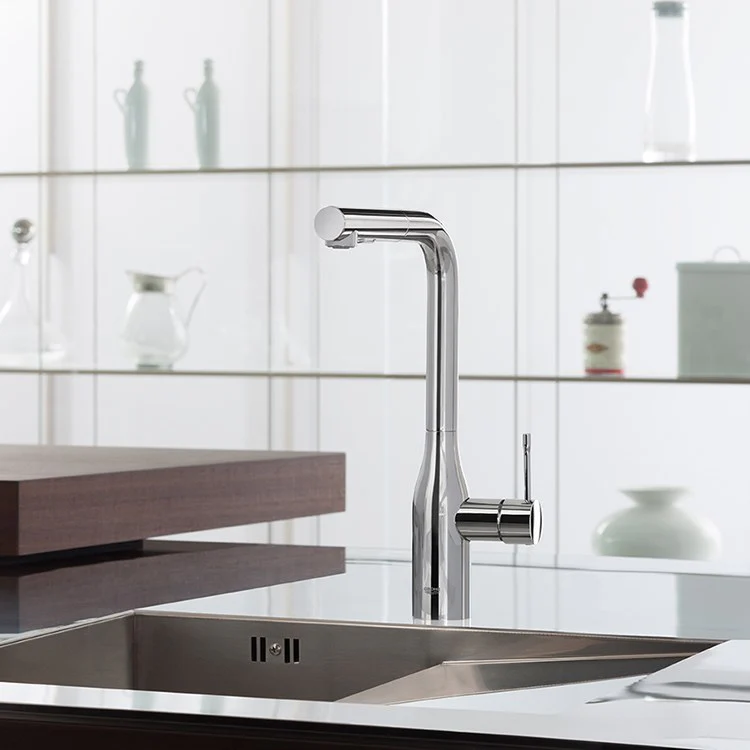 Essence Single Handle Pull-Out Kitchen Faucet - Frankwebs