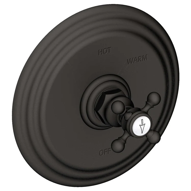 Astor Pressure Balance Valve Trim Only - Frankwebs