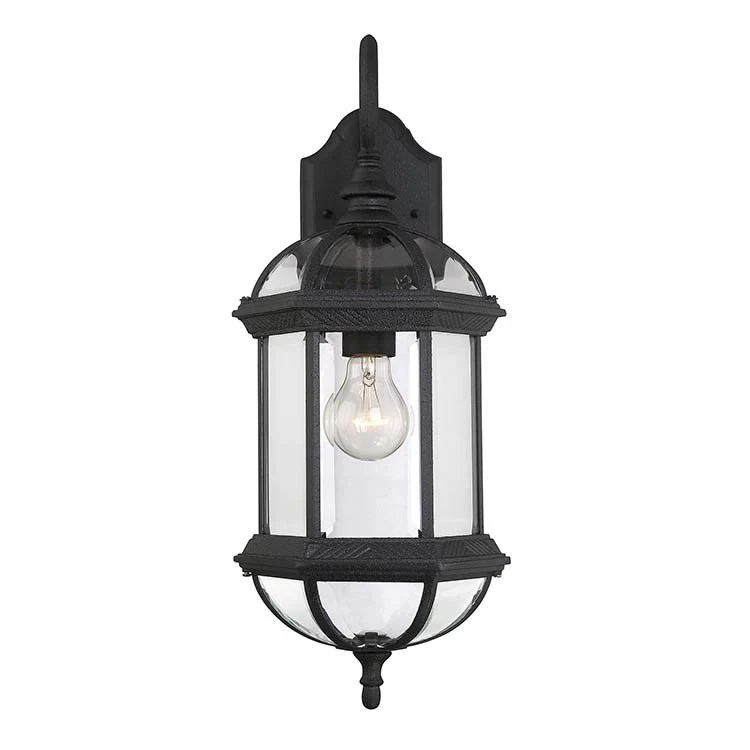 Kensington Single-Light Outdoor Wall Mount Lantern - Frankwebs