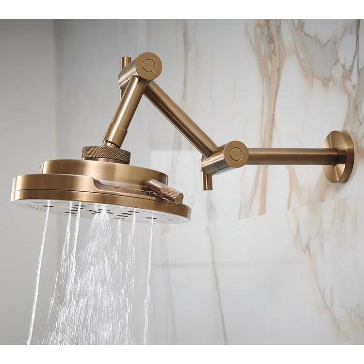 Litze H2OKinetic Four-Function Raincan Shower Head - Frankwebs