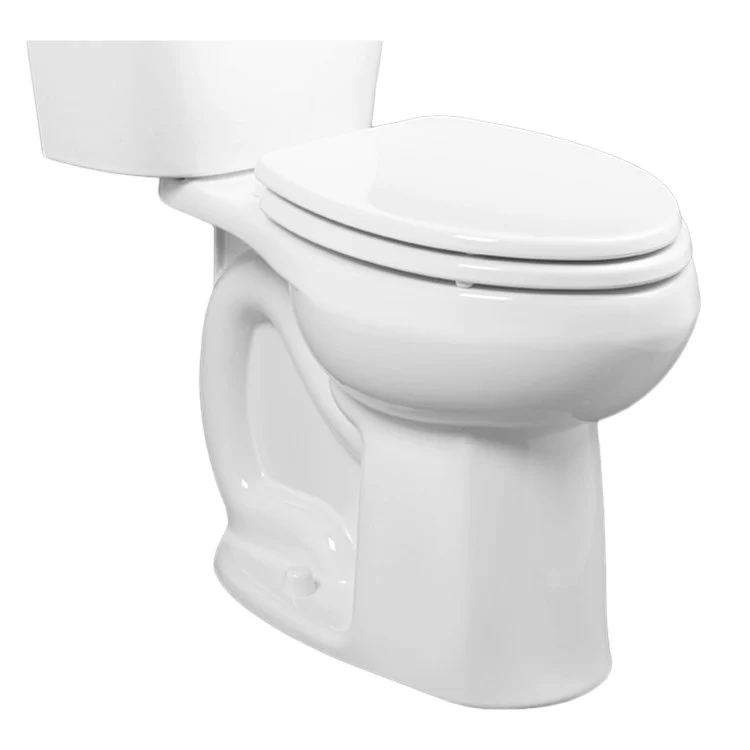 Colony Floor-Mount Elongated Toilet Bowl - Frankwebs