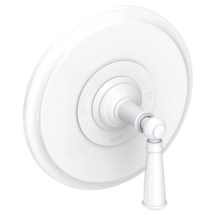 Pressure Balance Valve Trim Aylesbury Round 1 Lever Polished Brass Uncoated Living ADA Depth 4 Inch - Frankwebs