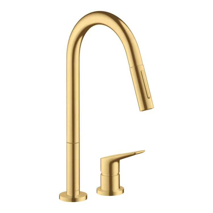 AXOR Citterio M 2-Hole Pull Down Kitchen Faucet - Frankwebs