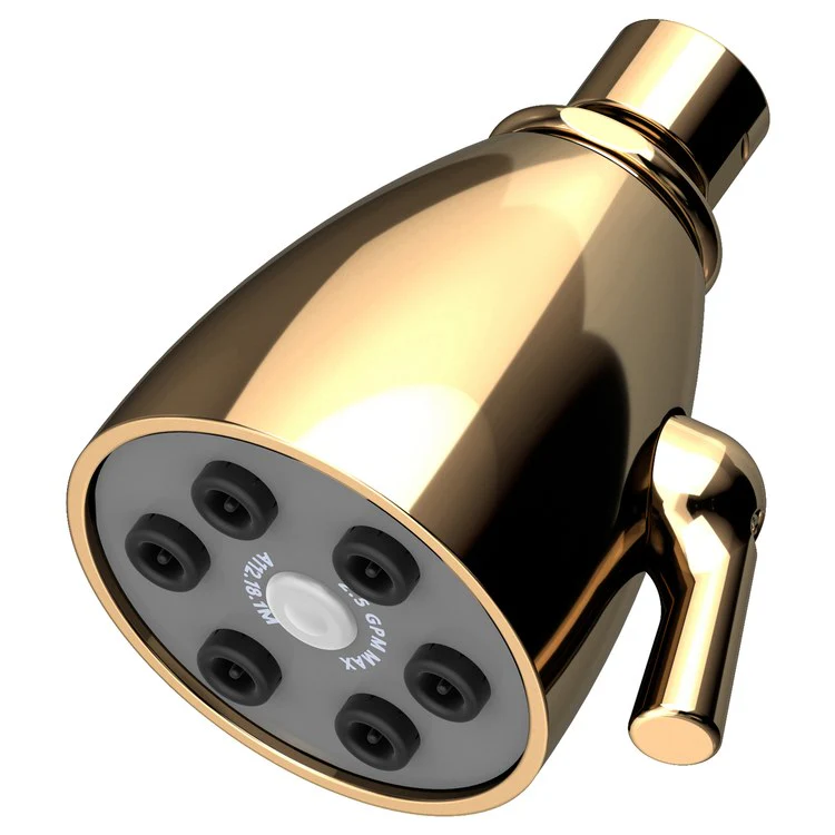 Single-Function Six-Jet Showerhead - Midnight Chrome - Frankwebs