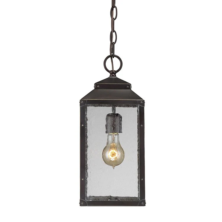 Brennan Outdoor Hanging Lantern - Frankwebs