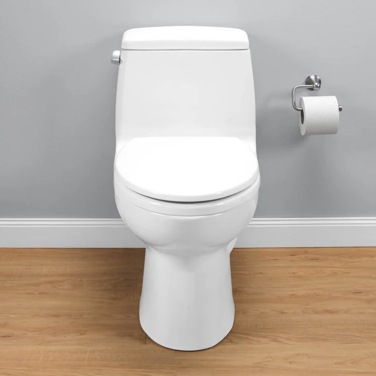 Ultimate Elongated One-Piece Toilet with SoftClose Seat - Frankwebs