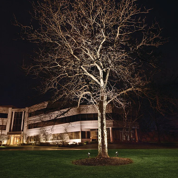 C-Series Single-Light LED 33-Degree Landscape Accent Light 1800 Lumen 3000K - Frankwebs