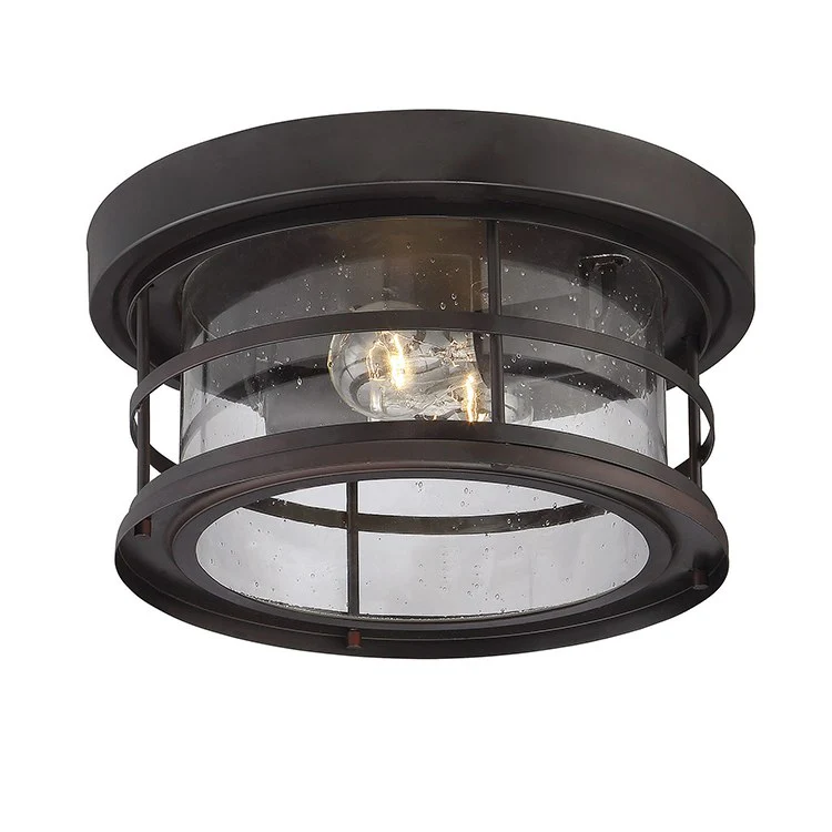 Barrett Two-Light Outdoor Flush Mount Ceiling Light - Frankwebs