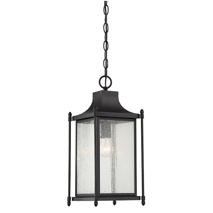 Dunnmore Single-Light Hanging Lantern - Frankwebs