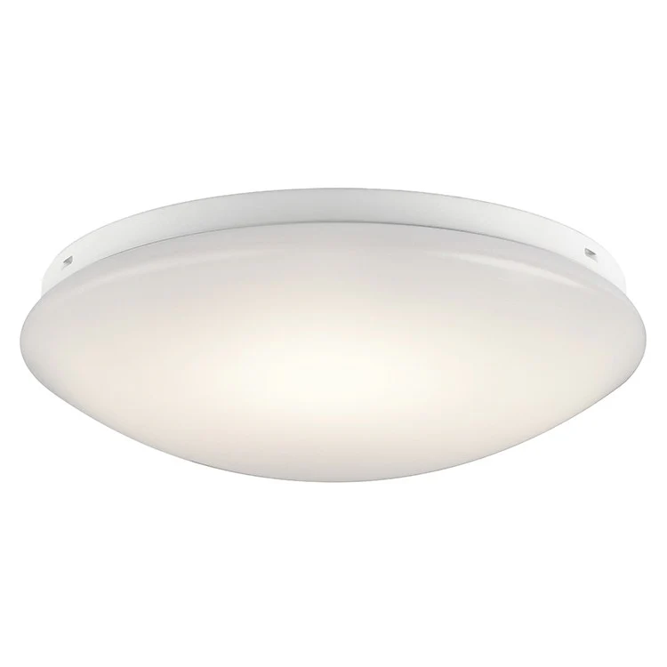 Ceiling Space Single-Light LED Flush Mount Ceiling Fixture - Frankwebs