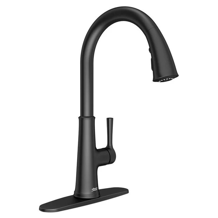 Kitchen Faucet Renate 1 Lever ADA Polished Chrome Pull Down 1.5GPM - Frankwebs