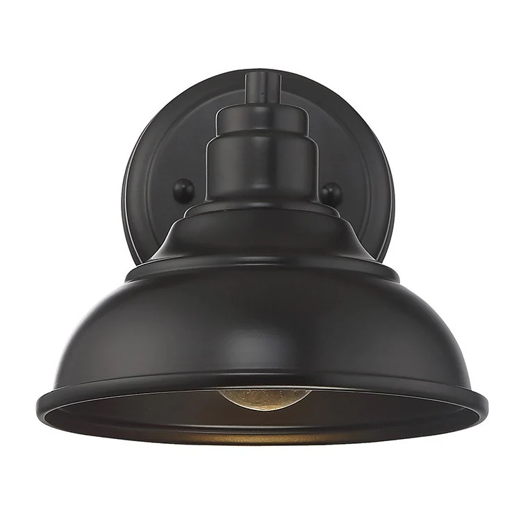 Dunston Single-Light Dark Sky Outdoor Wall Mount Sconce - Frankwebs