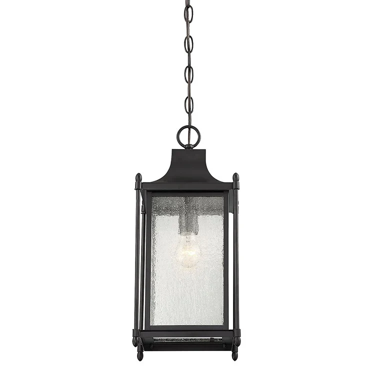 Dunnmore Single-Light Hanging Lantern - Frankwebs